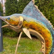 RYBAK MARLIN ŻAGLICA ryba
