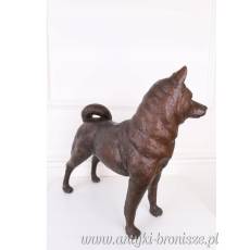 Shiba - inu PIES JAPOŃSKI z brązu