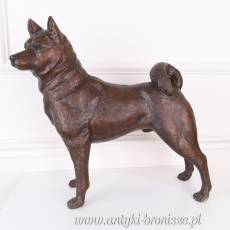 Shiba - inu PIES JAPOŃSKI z brązu