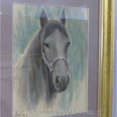 GŁOWA KONIA- OBRAZ PASTEL ZA SZKŁEM