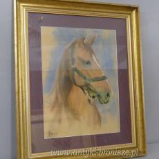GŁOWA KONIA- OBRAZ PASTEL ZA SZKŁEM