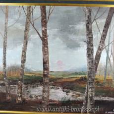 Olej na płótnie brzozy M. Vught Holandia 1980r drewniana rama 90/80cm