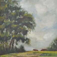 Pejzaż w złotej ramie, olej na desce podpisany 47/62cm w świetle 33/48cm poł.XXw