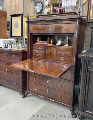 Elegancka sekretera w stylu...