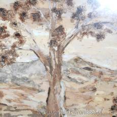 Obrazek z kory drzewa herbacianego 50/40cm Australia lata 70te