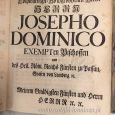 Proroczy lament pojawia się w Syjonie Prophetische Klag-Posäune in Sion Gabriel Zürcher Guldenpöck Norymberga 1738r