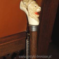 Laska drewniana z glowka ryczacego lwa - L.:80cm - poz. 5037