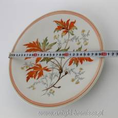 Talerz ozdobny porcelanowy (patera) Niemcy Turyngia Reichenbach
