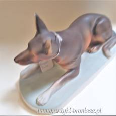 Pies wilczur- owczarek niemiecki Royal Dux Bohemia