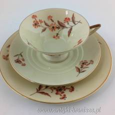Filiżanka porcelanowa (trio) Niemcy Bawaria Arzberg po 1937 roku