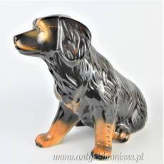 Pies szczeniak brązowy porcelana Rumunia poł.XXw 29/29cm