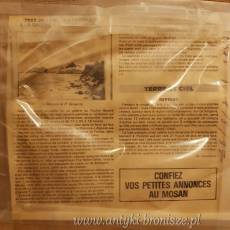 OND Obraz Pol Liard (1942-) Szkola belgijska: "Stan duszy"- Pol Liard 87 - poz. 5948