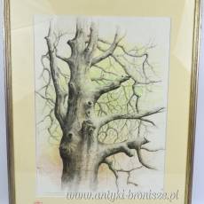 Rysunek na papierze “Loutering” podpis autora nieczytelny Holandia 1984r