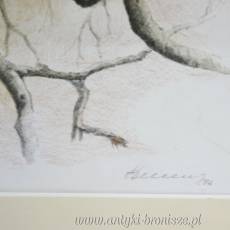 Rysunek na papierze “Loutering” podpis autora nieczytelny Holandia 1984r
