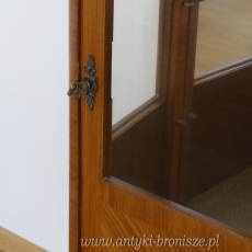 WITRYNKA EKLEKTYCZNA ładny stan