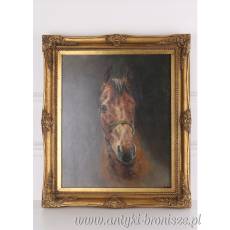 KOŃ POLSKI -OBRAZ ZŁOTA RAMA - 61 X 71 cm