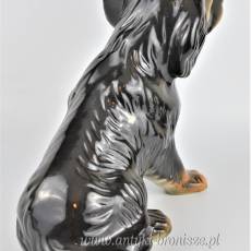 Pies szczeniak brązowy porcelana Rumunia poł.XXw 29/29cm