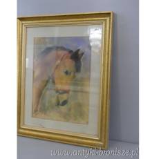 GŁOWA KONIA- OBRAZ PASTEL ZA SZKŁEM