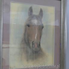OBRAZ PASTEL ZA SZKŁEM GŁOWA KONIA