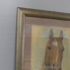 OBRAZ PASTEL ZA SZKŁEM GŁOWA KONIA