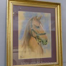 GŁOWA KONIA- OBRAZ PASTEL ZA SZKŁEM