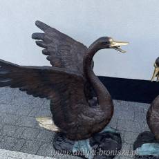 KOMPLET ŁABĘDZI Z BRĄZU duże !! ŁABĘDŹ