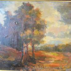 Pejzaż jesienny, olej na płótnie poł.XXw, dębowa brązowa rama 63/54cm