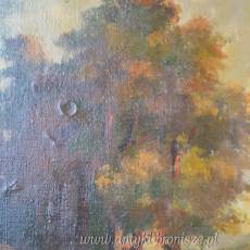 Pejzaż jesienny, olej na płótnie poł.XXw, dębowa brązowa rama 63/54cm