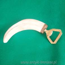 Otwieracz do butelek rzeźbiony kieł guźca Afryka lata 40te