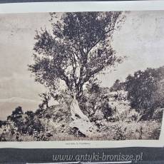 Album 22 fotografie z przełomu XIX/XX w Taormina Sycylia G.D'Agata, G. Crupi, G. Marziani