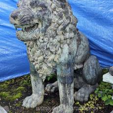 Eleganckie pary lwy- rzezby