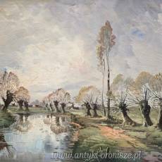 Wierzby nad rzeką olej na płótnie w bogatej ramie 103/85cm  XIXw