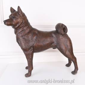 Shiba - inu PIES JAPOŃSKI z brązu