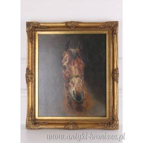 KOŃ POLSKI -OBRAZ ZŁOTA RAMA - 61 X 71 cm
