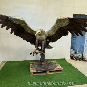 Orzeł z rozpiętymi skrzydłami - 3 metry !!