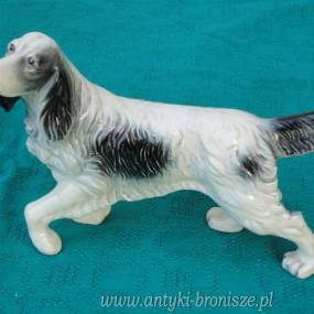 Pies - Cocker spaniel - porcelana, H:18 L:24cm
